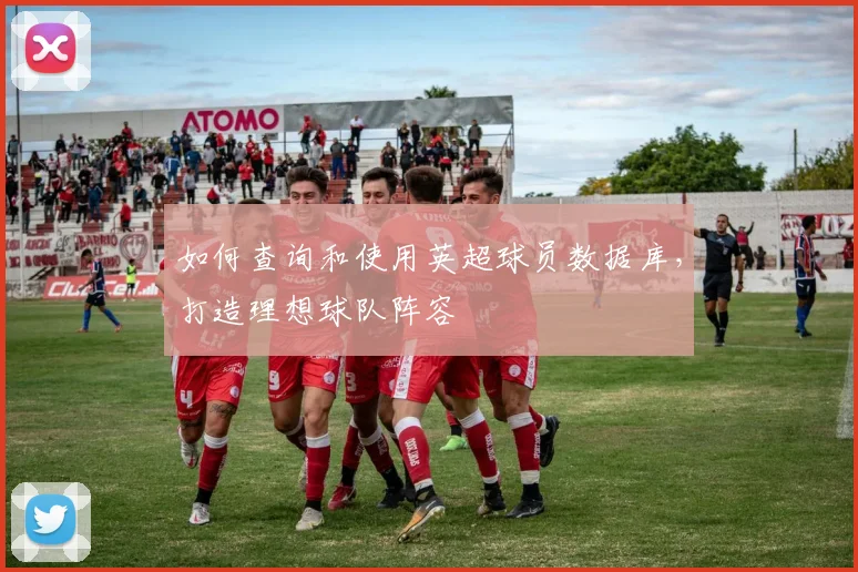 如何查询和使用英超球员数据库，打造理想球队阵容