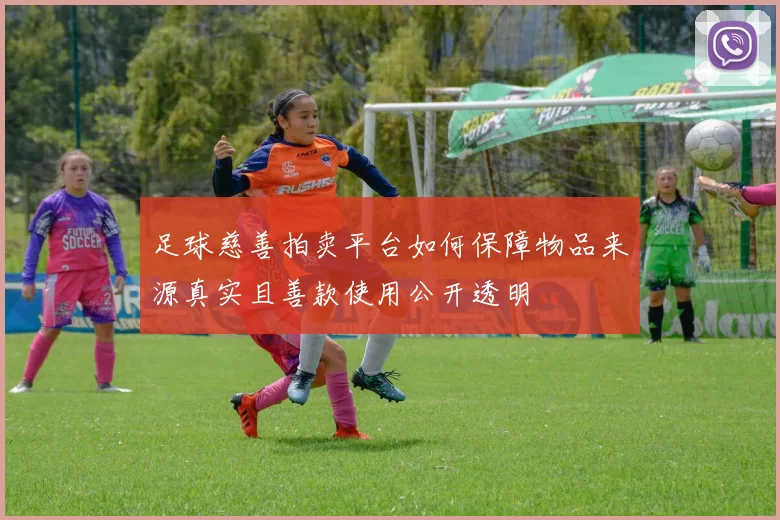 足球慈善拍卖平台如何保障物品来源真实且善款使用公开透明