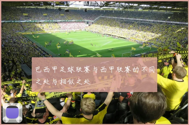 巴西甲足球联赛与西甲联赛的不同之处与相似之处