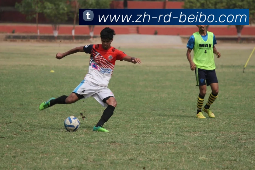 BB体育下载平台生态图